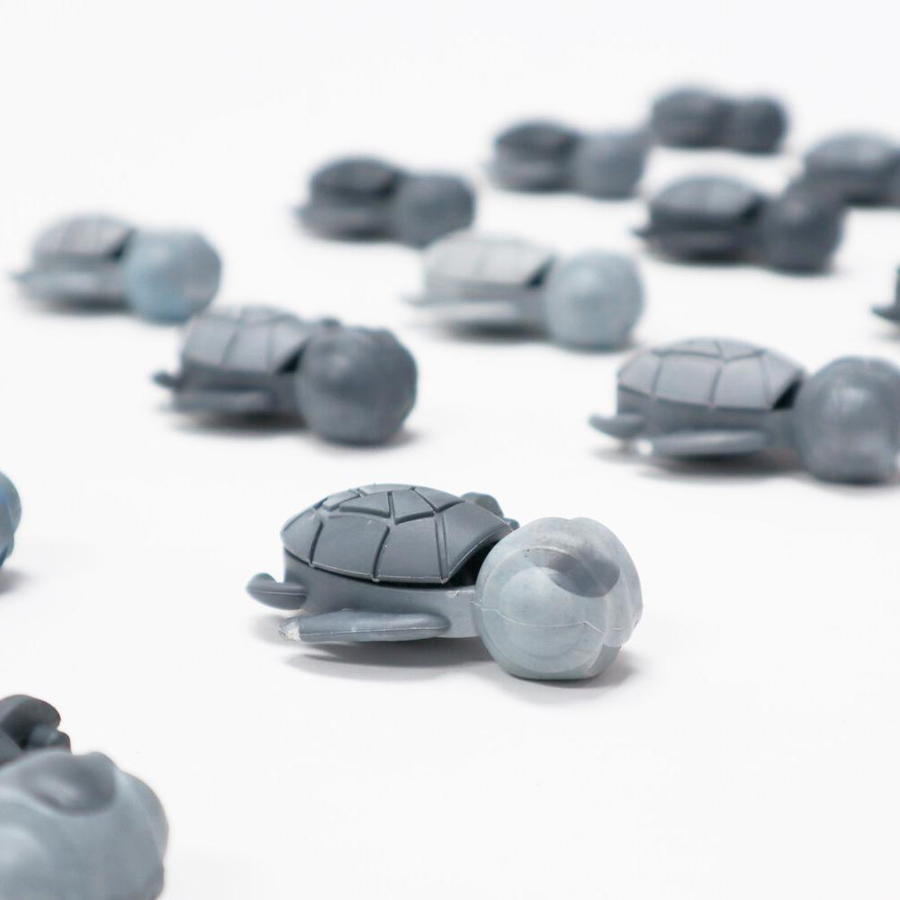 One Calm Buddi Turtle
