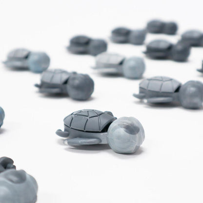 One Calm Buddi Turtle