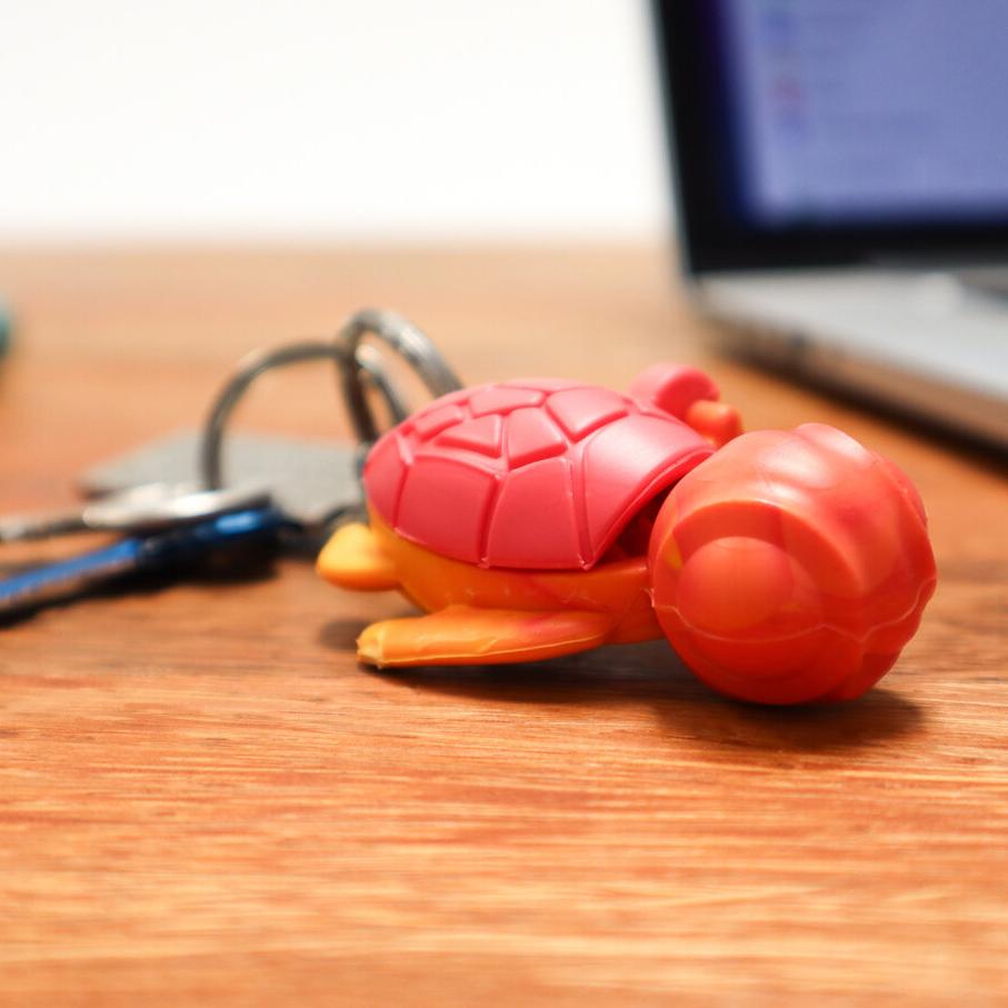 One Calm Buddi Turtle