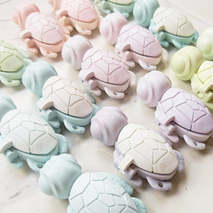 One Calm Buddi Turtle