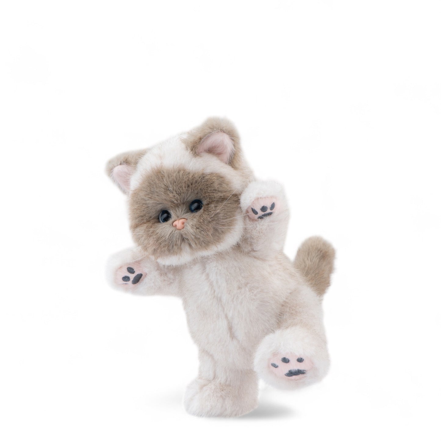 Teddy Tales Lina Siamese Kitten 20cm