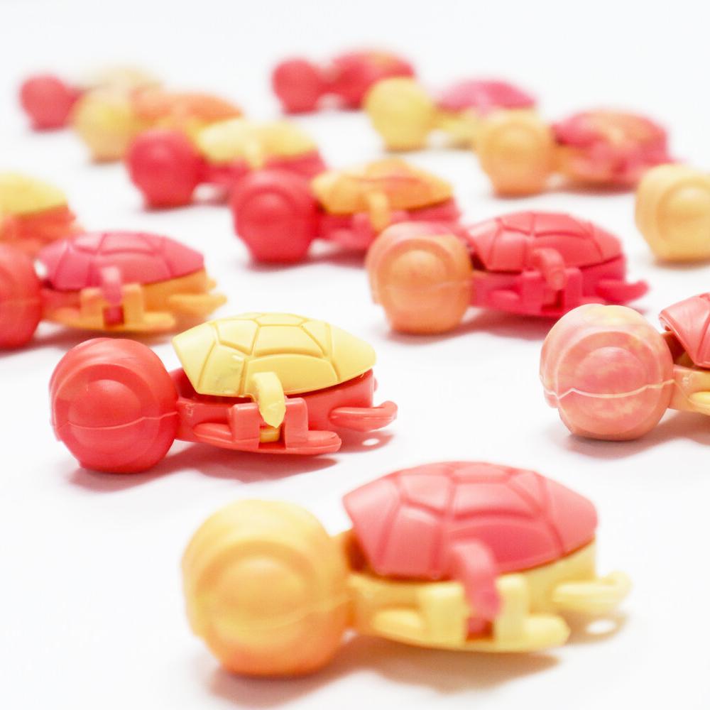 One Calm Buddi Turtle