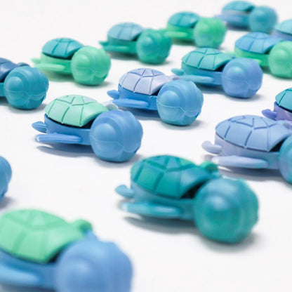 One Calm Buddi Turtle